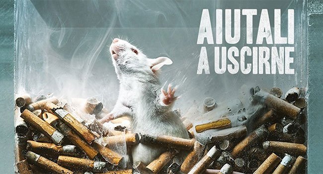 Test su animali: droga e alcool